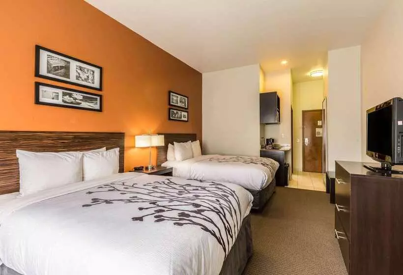 ホテル Sleep Inn & Suites Stafford Sugarland