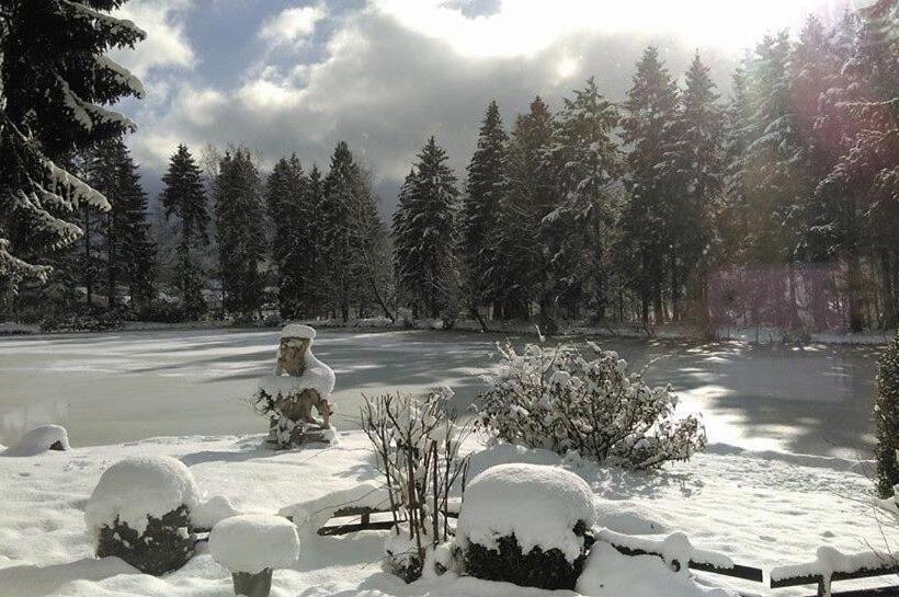 ホテル Steineweiher