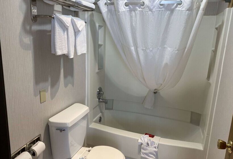 ホテル Wingate By Wyndham Gunnison Near Western Colorado University