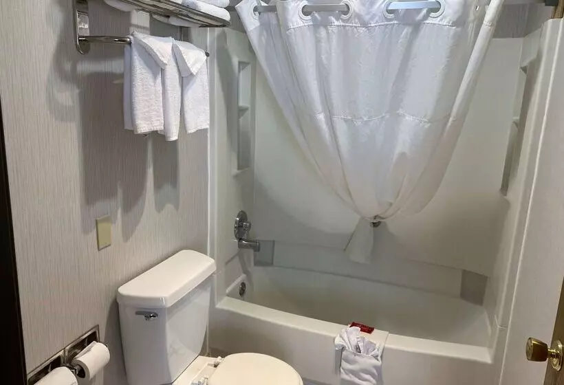 ホテル Wingate By Wyndham Gunnison Near Western Colorado University