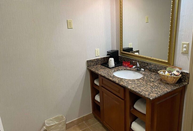 ホテル Wingate By Wyndham Gunnison Near Western Colorado University