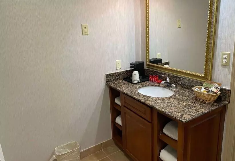 ホテル Wingate By Wyndham Gunnison Near Western Colorado University