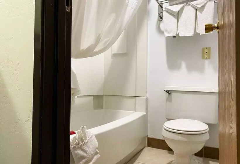 ホテル Wingate By Wyndham Gunnison Near Western Colorado University