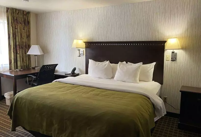 ホテル Wingate By Wyndham Gunnison Near Western Colorado University