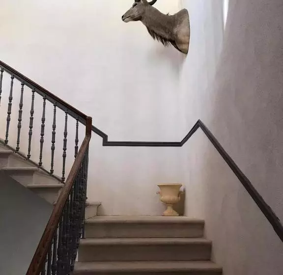 Palazzo Romanelli B&b