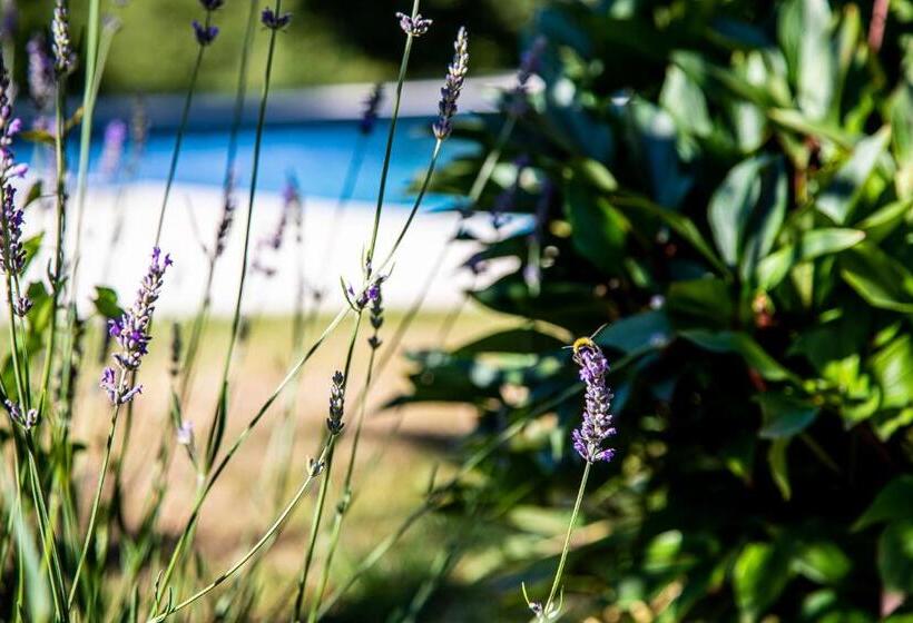 住宿加早餐  Le Mas Des Roches Proche Puy Du Fou