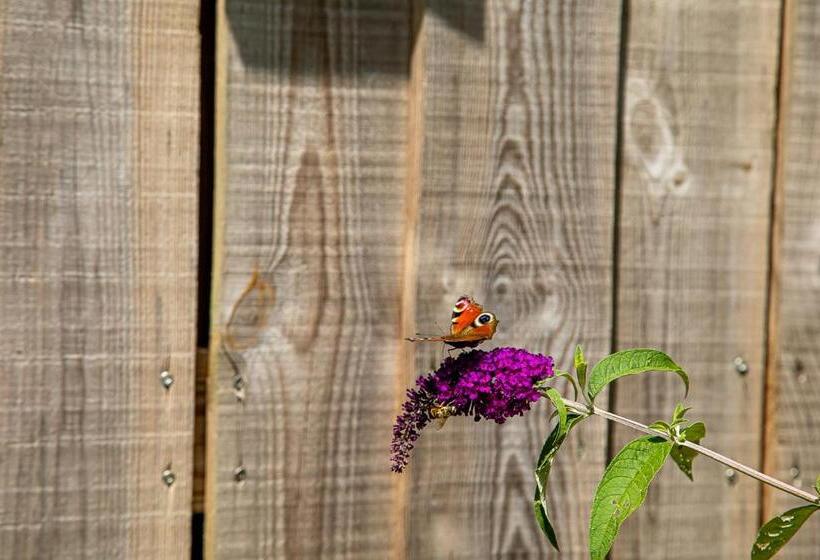 住宿加早餐  Le Mas Des Roches Proche Puy Du Fou