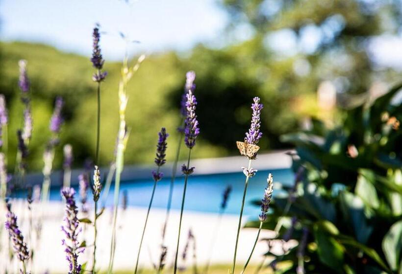 住宿加早餐  Le Mas Des Roches Proche Puy Du Fou