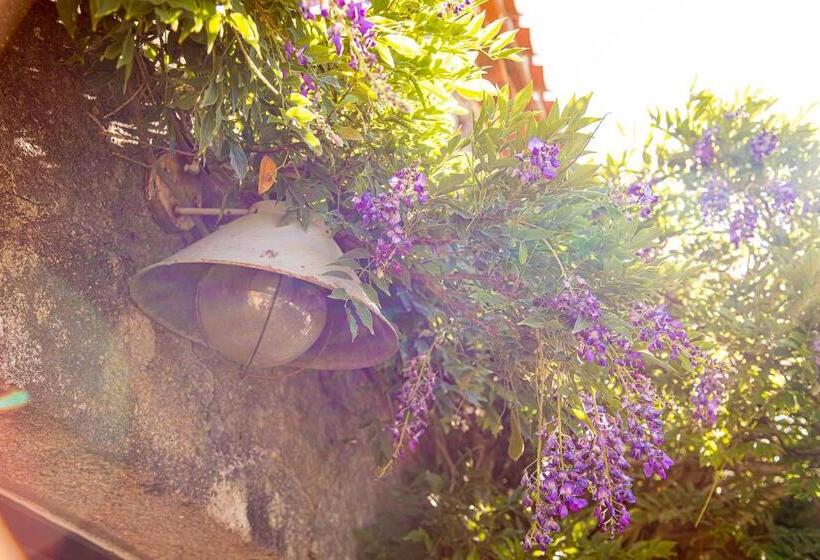 住宿加早餐  Le Mas Des Roches Proche Puy Du Fou