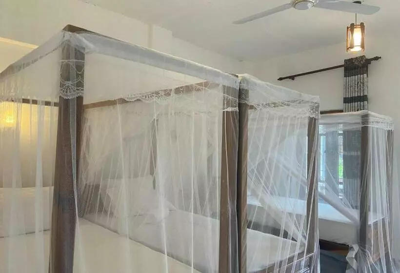 ホテル Chithru Bay Rooms & Hostel