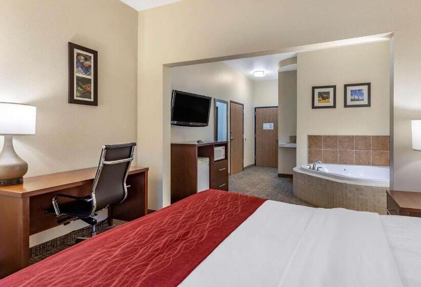 호텔 Comfort Inn & Suites Greenville I70