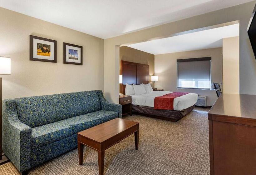 호텔 Comfort Inn & Suites Greenville I70