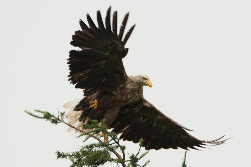 فندق Koshimizu Hana Kotori Youth Hostel