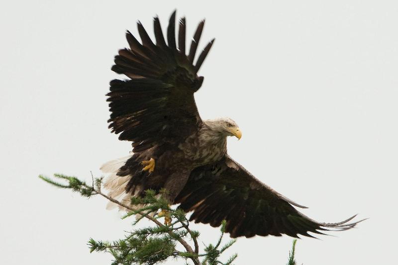 فندق Koshimizu Hana Kotori Youth Hostel