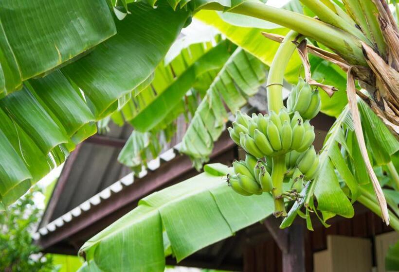 Hotel Weekender Bungalow