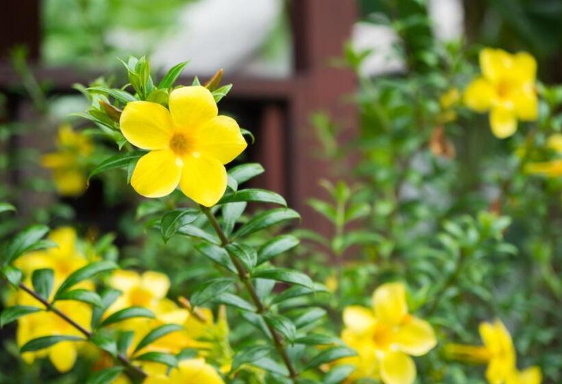 Hotel Weekender Bungalow