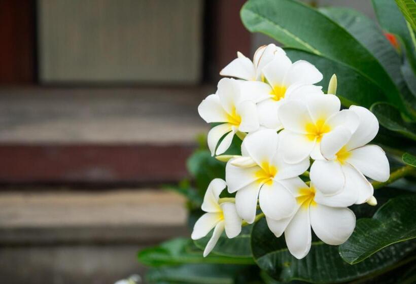 Hotel Weekender Bungalow