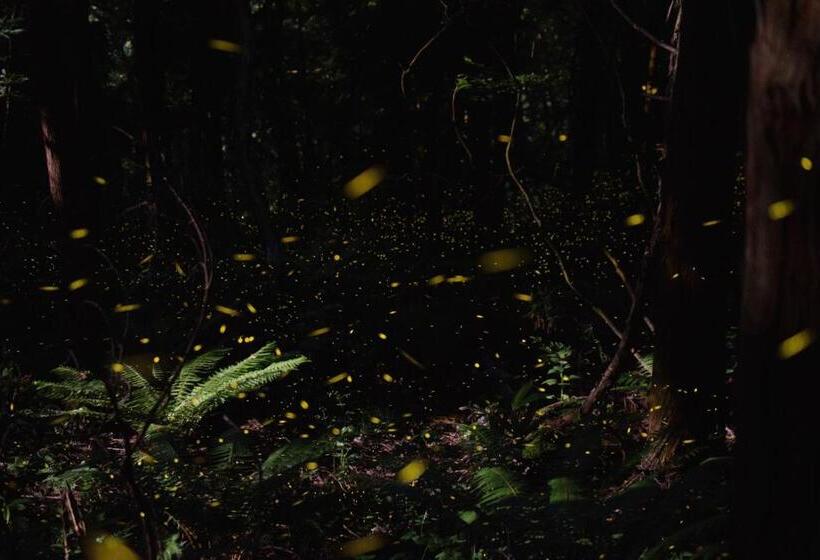 פנסיון Guest House Eleven Village Fukiya