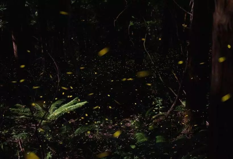 Majatalo Guest House Eleven Village Fukiya