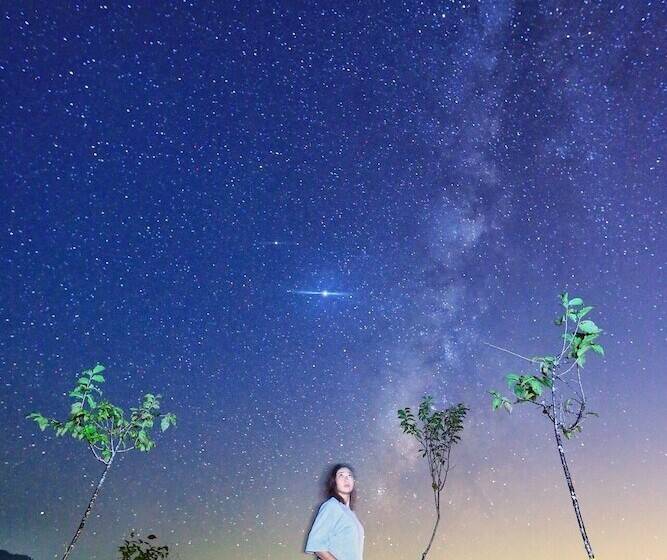 پانسیون Stary Sky