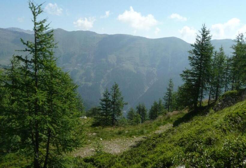 Almhotel Fichtenheim