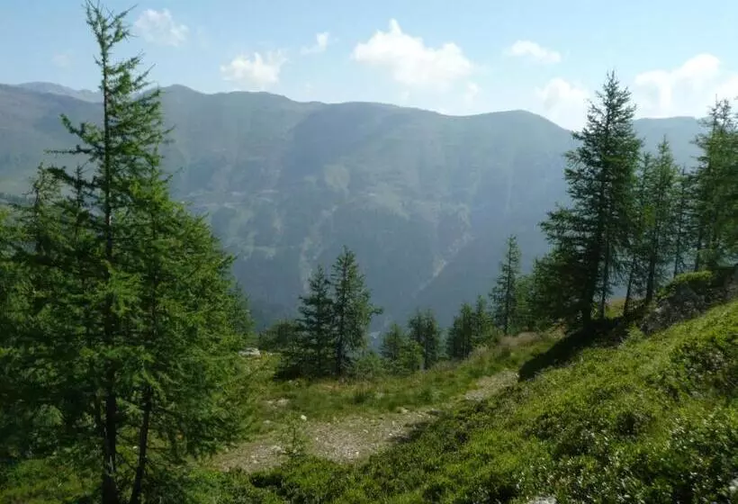 Almhotel Fichtenheim