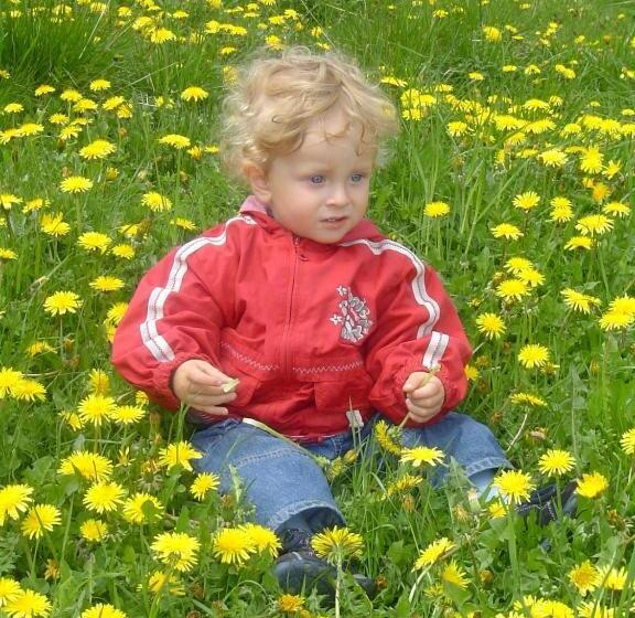 Almhotel Fichtenheim