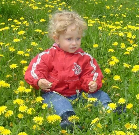 Almhotel Fichtenheim