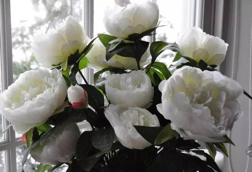 Brockamour Manor Bed And Breakfast