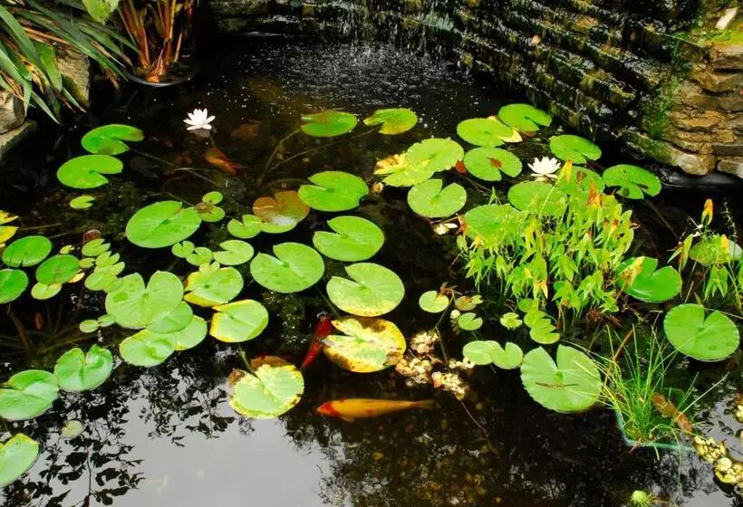 Brockamour Manor Bed And Breakfast