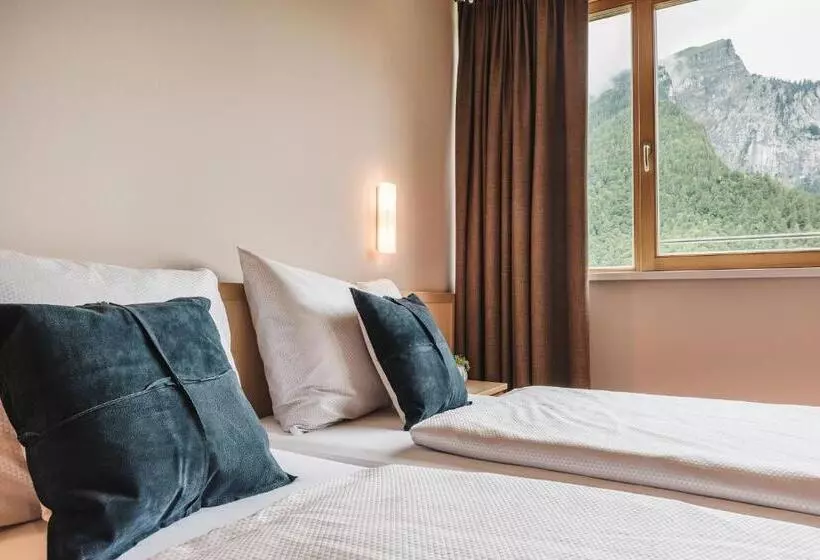 בית מלון כפרי Adler