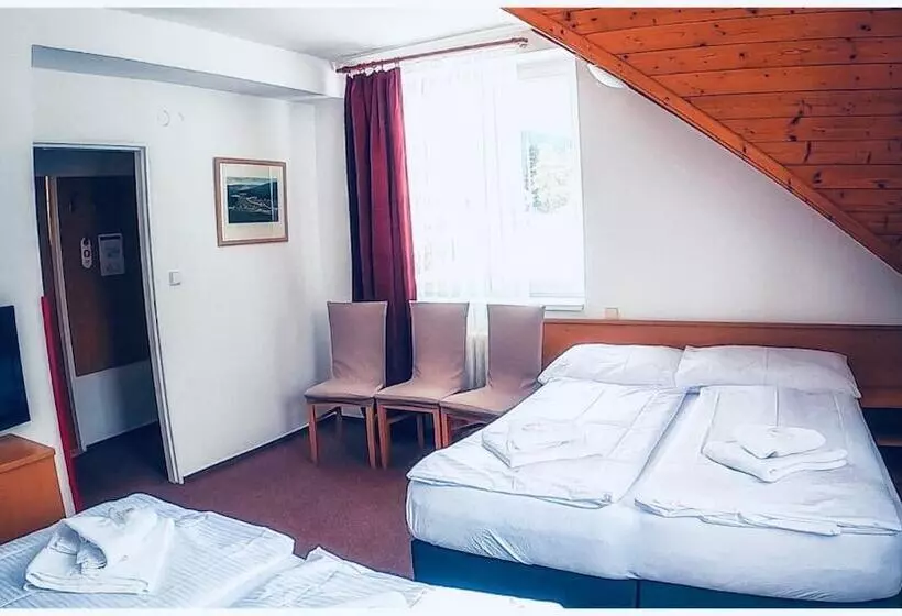 בית מלון כפרי Harrachov 702