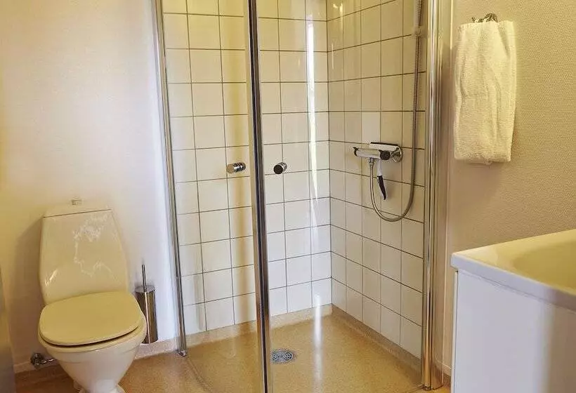 Отель Hedemarken