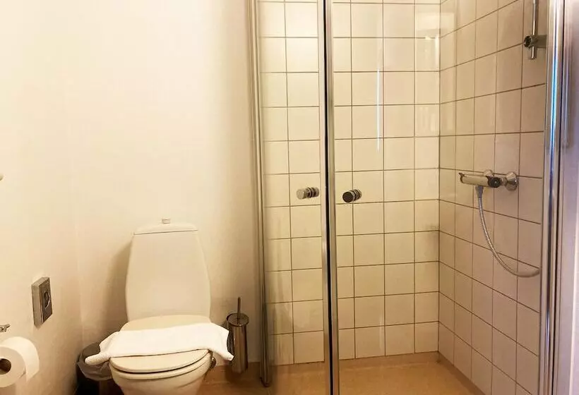 Отель Hedemarken