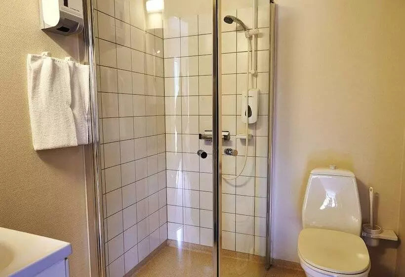 Отель Hedemarken