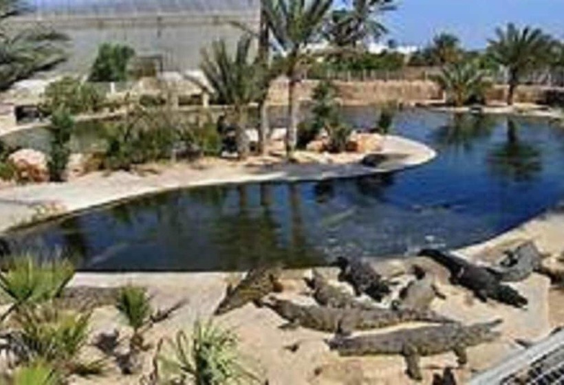 Hotel Hôtel Les Palmes D Or