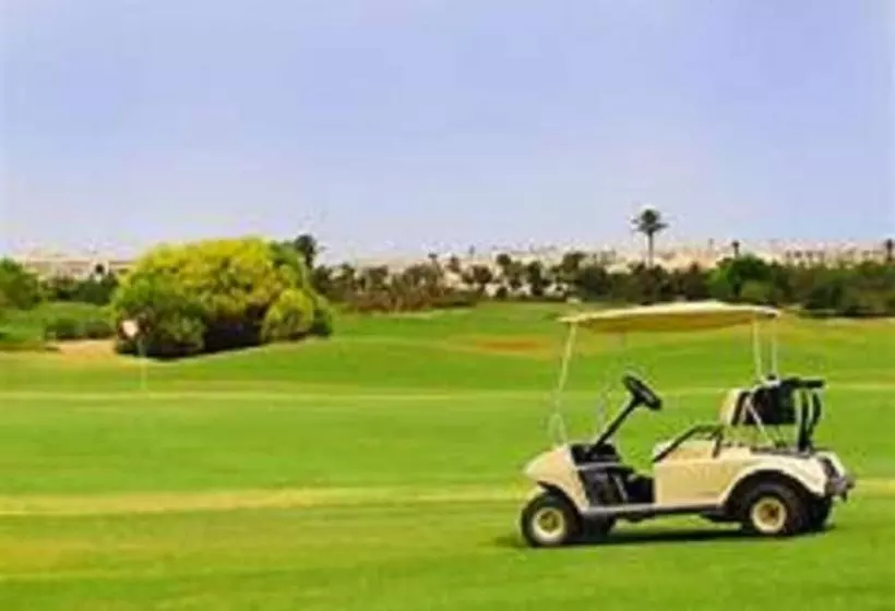 Hotel Hôtel Les Palmes D Or