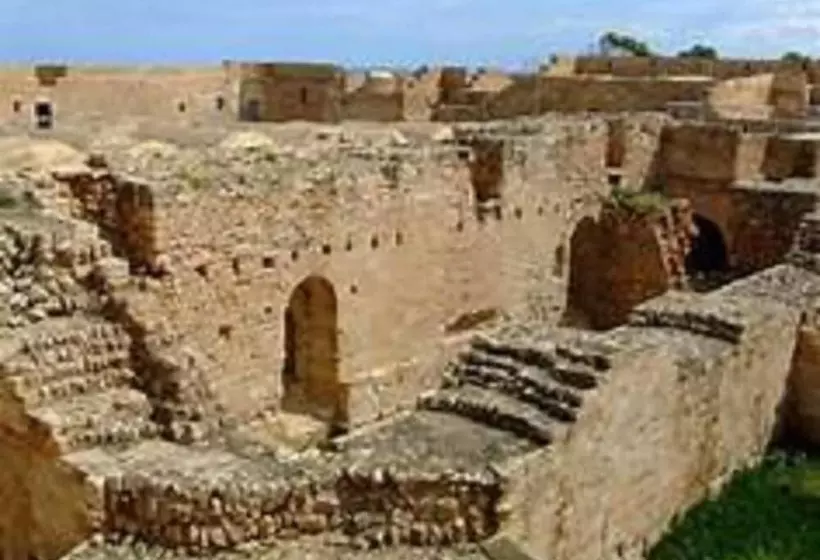 Hotel Hôtel Les Palmes D Or