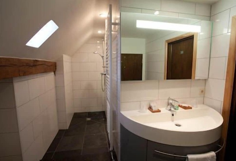 호텔 Moulin De Boiron