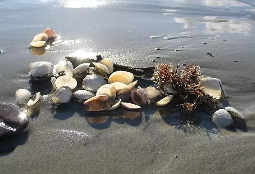 בית מלון כפרי Pegasa Pils Spa