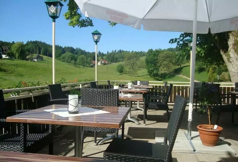 Отель Restaurant Kohlenbacher Hof