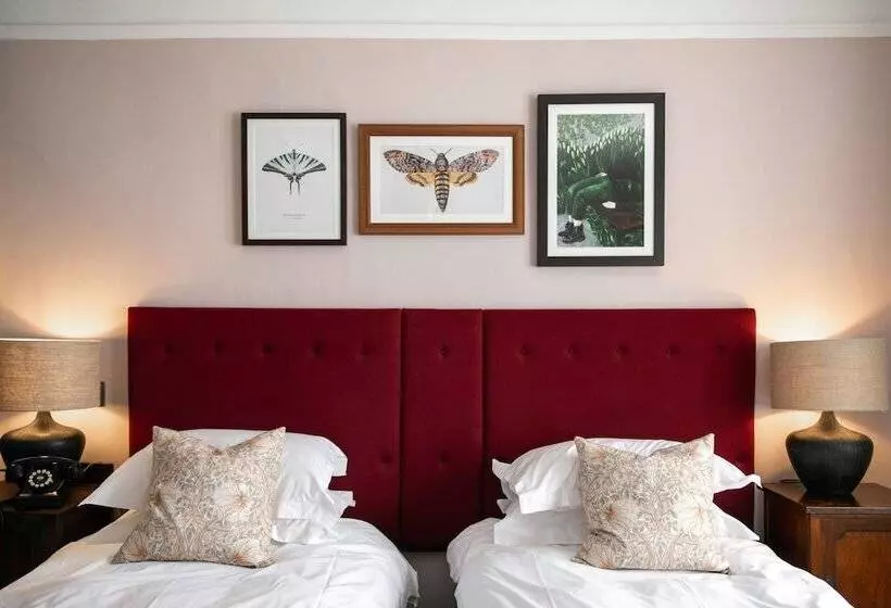 فندق The Lamb Inn