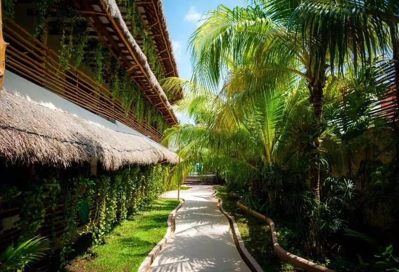 Hotelli La Palma Holbox