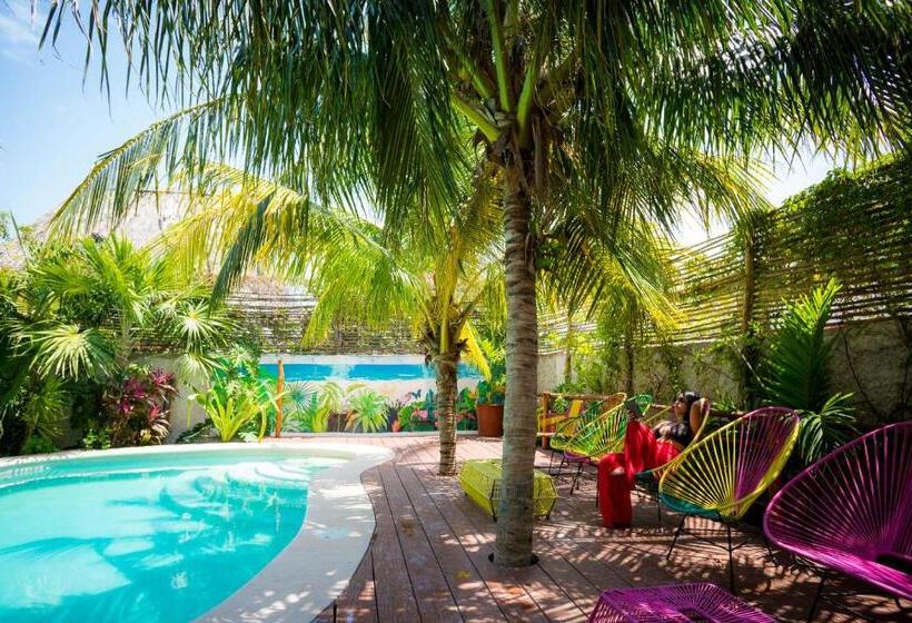 هتل La Palma Holbox