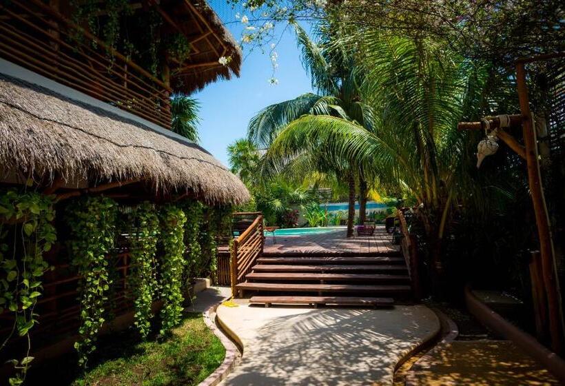 هتل La Palma Holbox