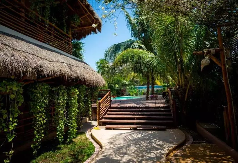 Hotelli La Palma Holbox