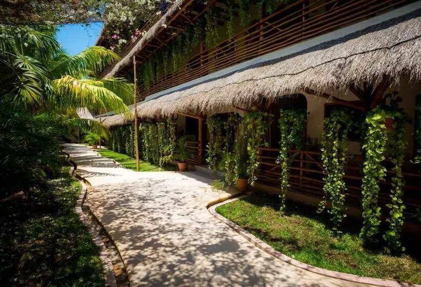 Hotelli La Palma Holbox