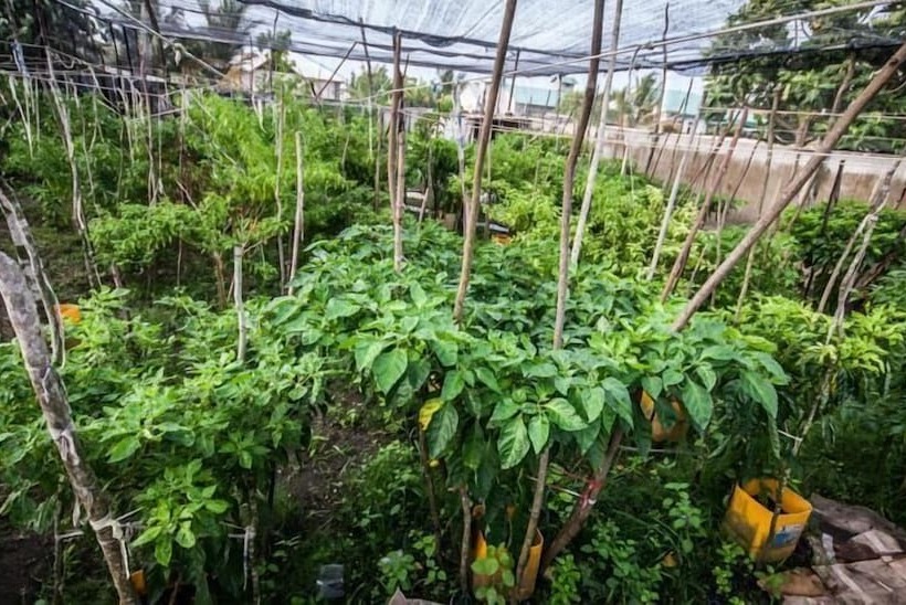 پانسیون Asuruma View