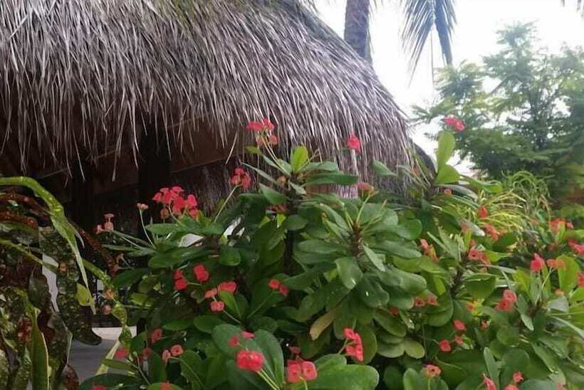 پانسیون Asuruma View