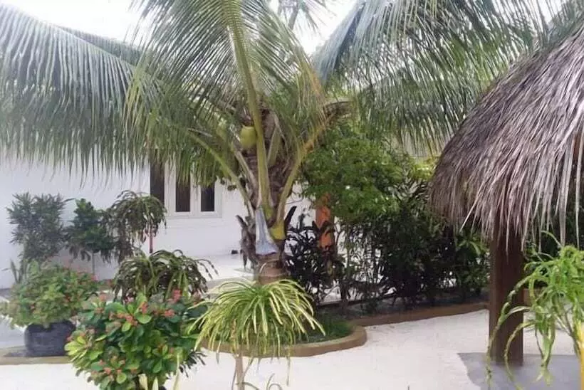 پانسیون Asuruma View